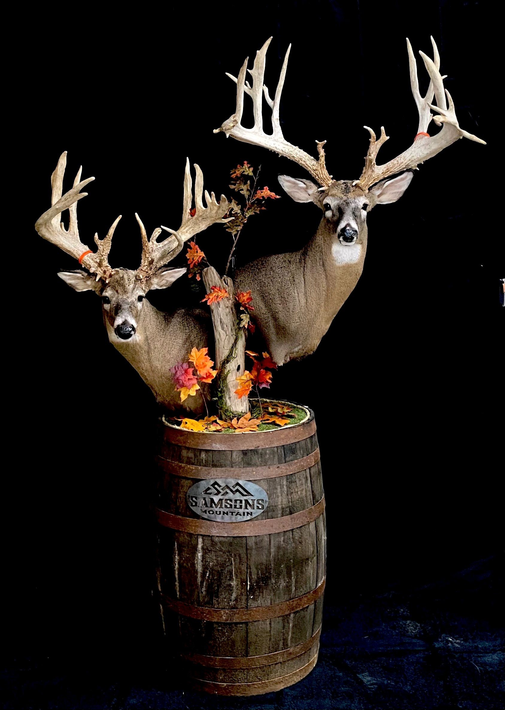 Double Whitetail Base Pedestal Mount